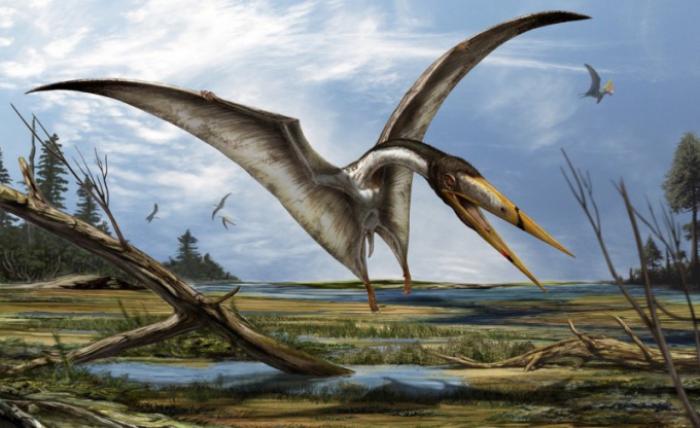 Что было бы, если бы птерозавры выжили?