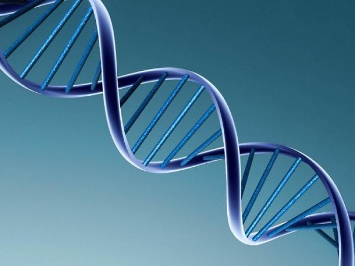 Как открыли ДНК