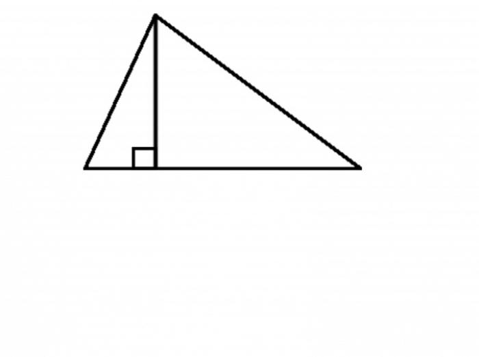 Как построить высоту треугольника
