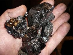Как образовывается каменный уголь
