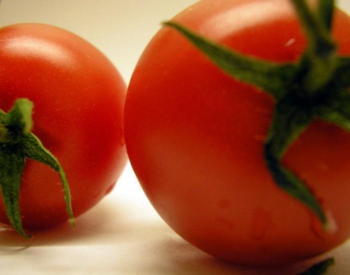 Почему помидоры красные. Квадратный помидор. Томатный цвет. Квадратные томаты. К чему снятся помидоры красные.