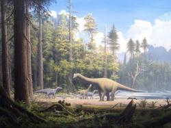 Где находится самая большая коллекция кожи динозавров