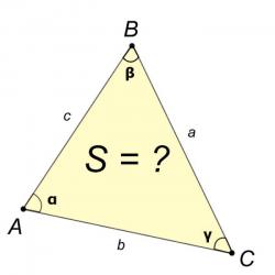Как определить площадь треугольника