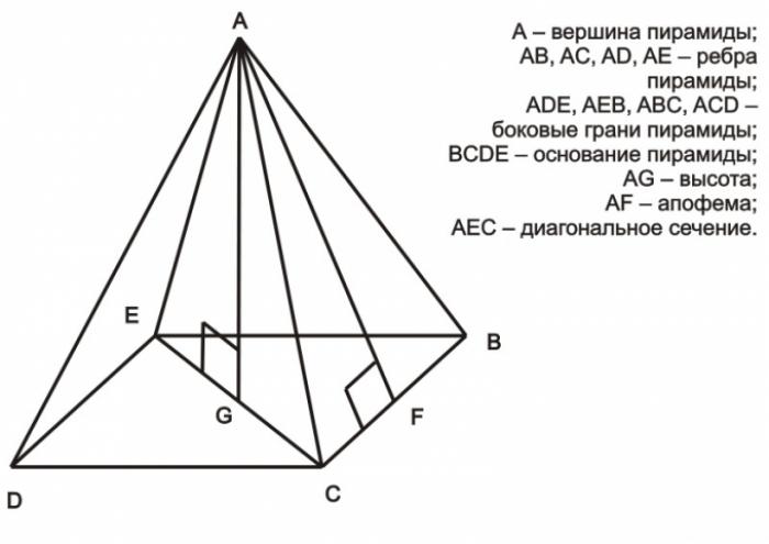 Как найти высоту в правильной пирамиде