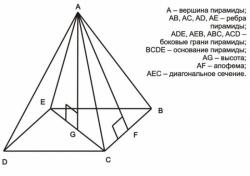 Как найти высоту в правильной пирамиде