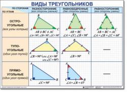 Как определить вид треугольника