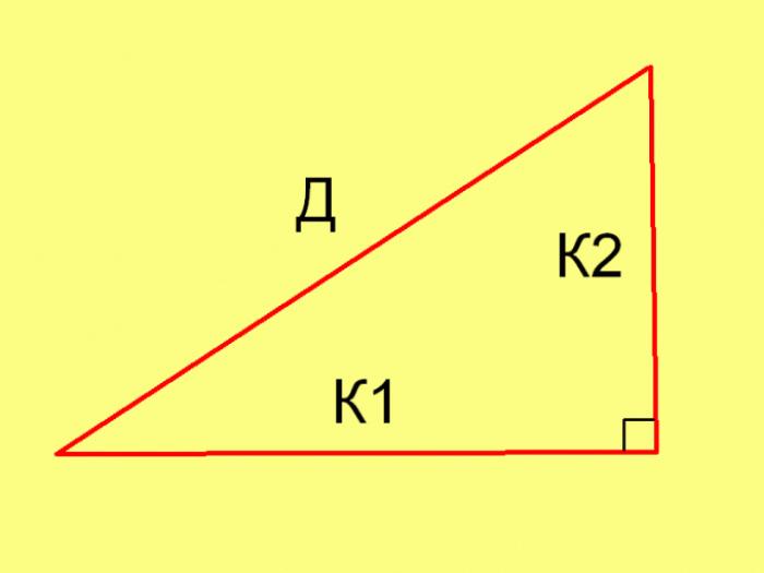 Как найти стороны прямоугольного треугольника по площади